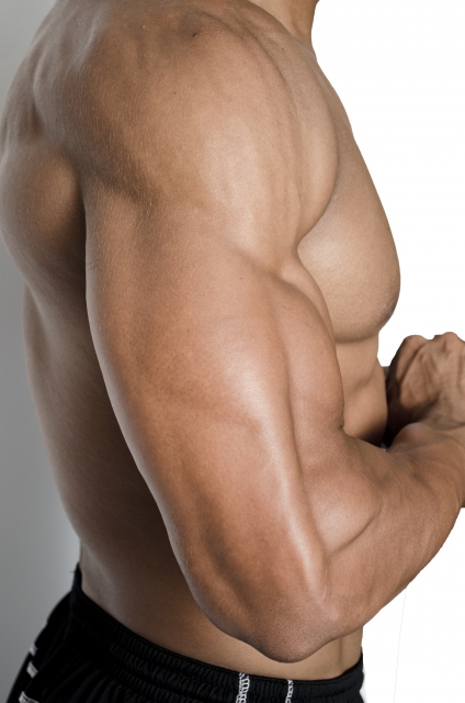 筋肉量を増やすために知っておくべき筋トレの基礎知識。