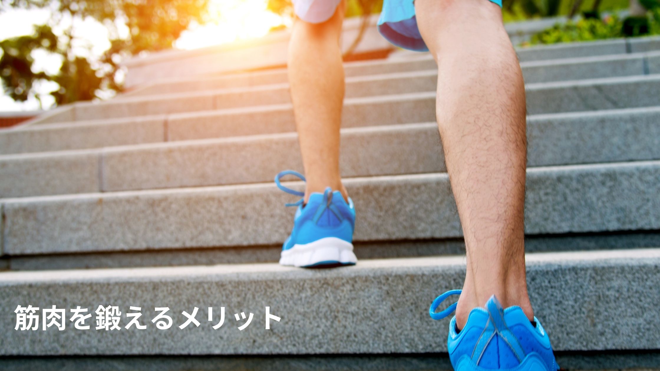 筋肉を鍛えるメリットと初心者の筋トレメニュー。